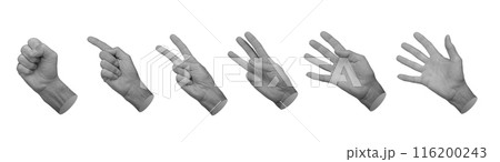 Counting fingers set from null zero fist to one, two, three, four and five numbers, hand sign 116200243