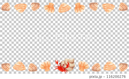 Watercolor horizontal frame with place for text. Seashell, hermit crab on isolated white background Watercolor horizontal frame with place for text. Seashell, hermit crab on isolated white background 116200276