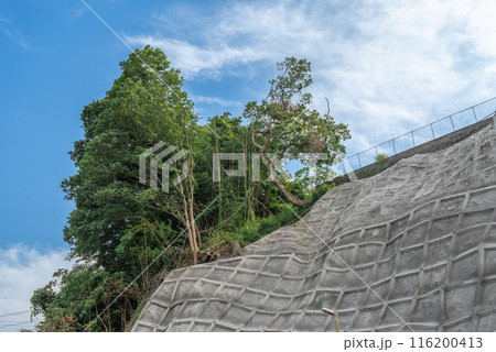 青空と樹木と法面工事 青空と樹木と法面工事 116200413