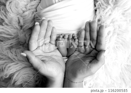 Feet of the newborn on the palms of the parents. The palms of the father and mother are holding the foot of the newborn baby in flokati. Black and white photography of a child's toes, heels and feet. Feet of the newborn on the palms of the parents. The palms of the father and mother are holding the foot of the newborn baby in flokati. Black and white photography of a child's toes, heels and feet. 116200585