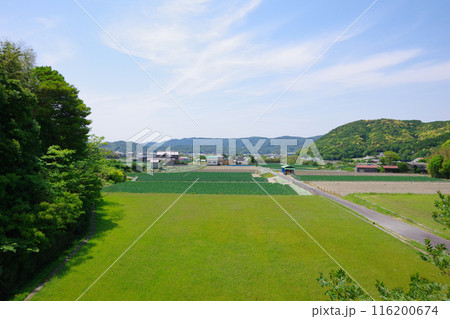 兵庫県淡路島 賀集周辺の風景 兵庫県淡路島 賀集周辺の風景 116200674