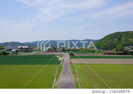 兵庫県淡路島　賀集周辺の風景 116200679