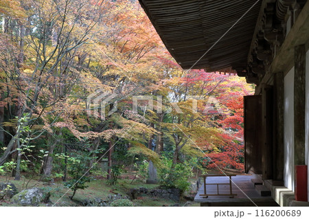 紅葉の時期のお寺 紅葉の時期のお寺 116200689