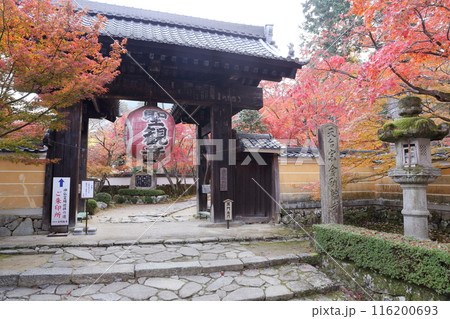 紅葉の時期のお寺 紅葉の時期のお寺 116200693