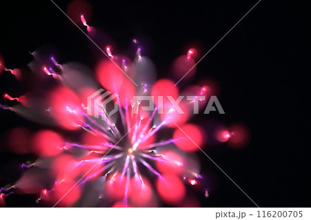 夜空を照らす花火 116200705