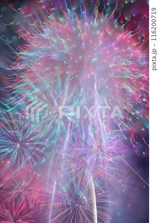 夜空を照らす花火 夜空を照らす花火 116200719