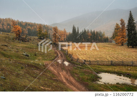 Mountains autumn landscape in rainy and snowy day. Autumn thaw. 116200772