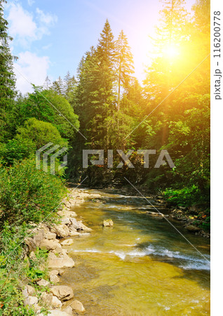 River in mountains. Wonderful springtime scenery of carpathian countryside. 116200778