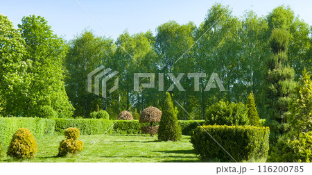 Landscaped park with a garden bed and various trees and shrubs on the lawn, evergreens and seasonal plants. Wide photo. 116200785
