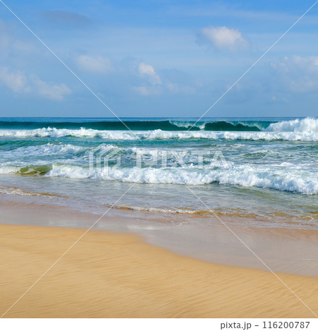 beautiful tropical beach and sea in sunny day beautiful tropical beach and sea in sunny day 116200787