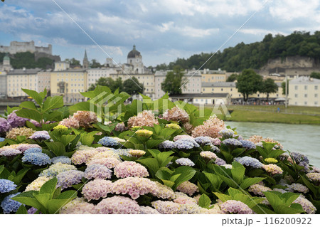 panoramic view of the Salzburg, Austria 116200922