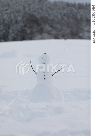 A snowman with a smile on his face stands in the snow 116200964