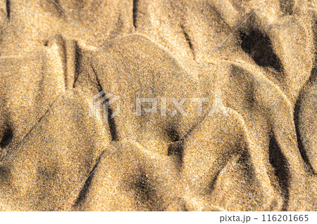 Sand Texture Background, Sandy Beach Pattern, Beige Ocean Dune Wallpaper, Wet Beach 116201665