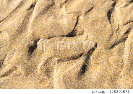 Sand Texture Background, Sandy Beach Pattern, Beige Ocean Dune Wallpaper, Wet Beach 116201671