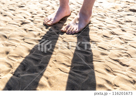 Sand Texture Background, Sandy Beach Pattern, Beige Ocean Dune Wallpaper, Wet Beach 116201673