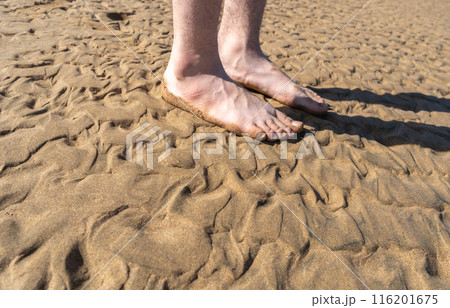Sand Texture Background, Sandy Beach Pattern, Beige Ocean Dune Wallpaper, Wet Beach 116201675