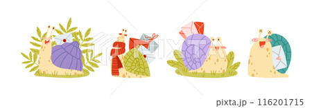 Cute Snail Character with Coiled Shell Carrying Envelope on Its Back Vector Set 116201715