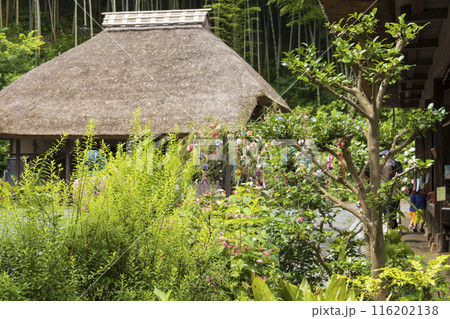 紫陽花と茅葺屋根と織姫と彦星 116202138