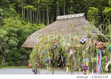 紫陽花と茅葺屋根と織姫と彦星 116202144