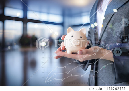 The concept of accumulation of investment and savings . 116202331