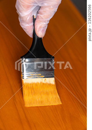 Painting table with brown enamel, brush in hand close-up, painting wood furniture process with brownish dye Painting table with brown enamel, brush in hand close-up, painting wood furniture process with brownish dye 116202566
