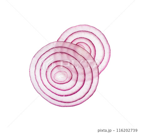 Fresh sliced red onion isolated. Raw purple onion rings set or shallot slices collection top view Fresh sliced red onion isolated. Raw purple onion rings set or shallot slices collection top view 116202739