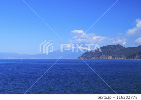 駿河湾に浮かぶ富士山 116202778