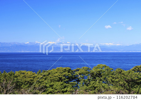 駿河湾に浮かぶ富士山 116202784