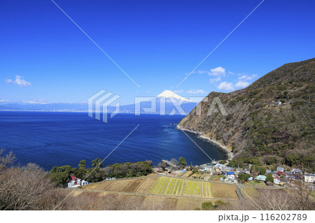 駿河湾に浮かぶ富士山 116202789