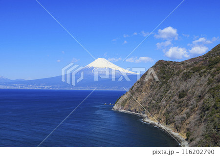 駿河湾に浮かぶ富士山 駿河湾に浮かぶ富士山 116202790