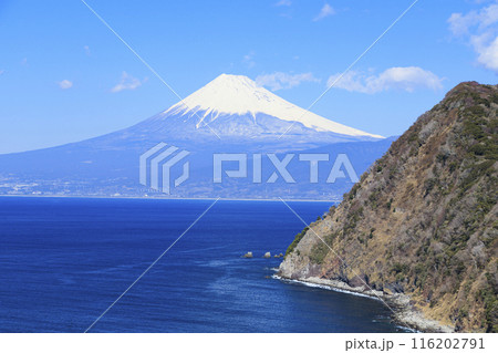 駿河湾に浮かぶ富士山 駿河湾に浮かぶ富士山 116202791