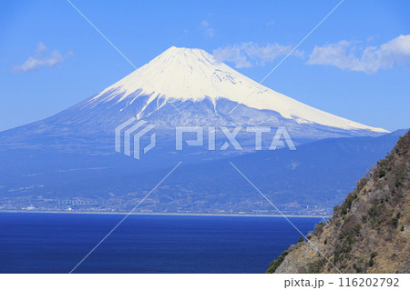駿河湾に浮かぶ富士山 駿河湾に浮かぶ富士山 116202792