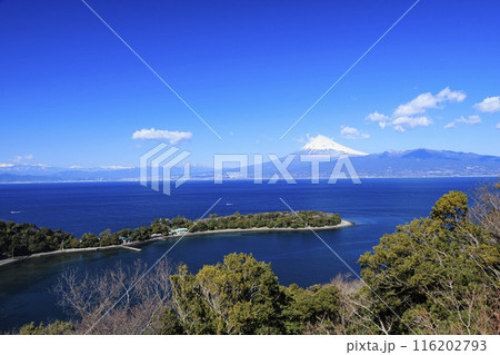 駿河湾に浮かぶ富士山 駿河湾に浮かぶ富士山 116202793