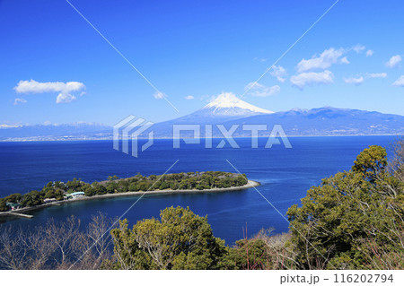 駿河湾に浮かぶ富士山 116202794
