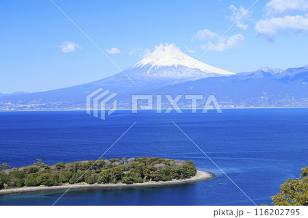 駿河湾に浮かぶ富士山 駿河湾に浮かぶ富士山 116202795