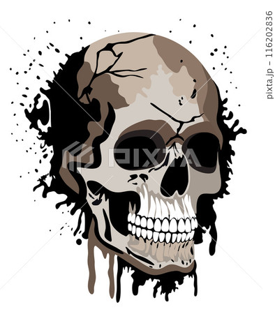 Human skull. Graffiti style. Vector isolated illustration 116202836
