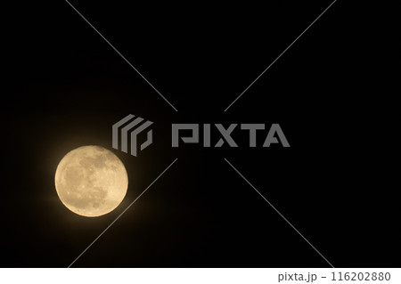 卯月四月昇ったばかり十六夜の月 卯月四月昇ったばかり十六夜の月 116202880