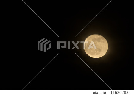卯月四月昇ったばかり十六夜の月 卯月四月昇ったばかり十六夜の月 116202882