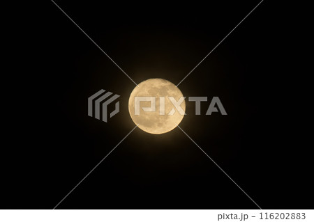 卯月四月昇ったばかり十六夜の月 卯月四月昇ったばかり十六夜の月 116202883