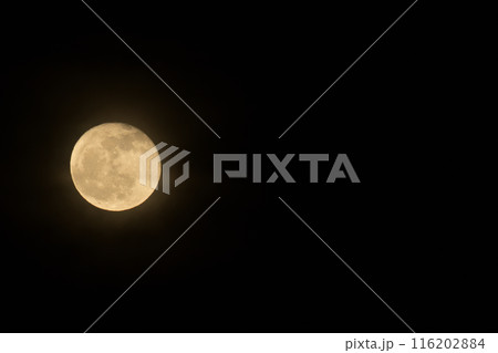卯月四月昇ったばかり十六夜の月 卯月四月昇ったばかり十六夜の月 116202884