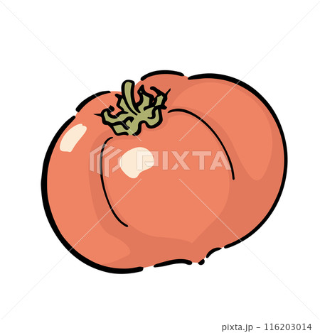 手描きのトマト 手描きのトマト 116203014