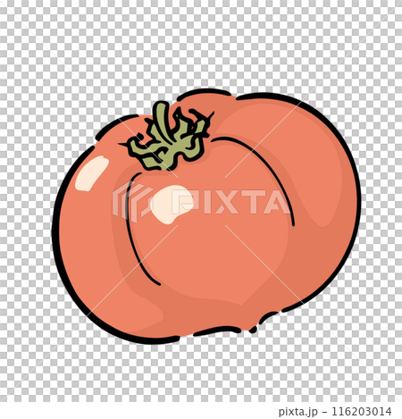 手描きのトマト 手描きのトマト 116203014