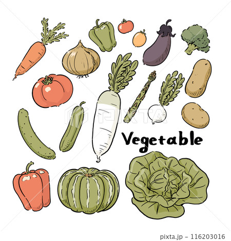 手描きの野菜セット 116203016