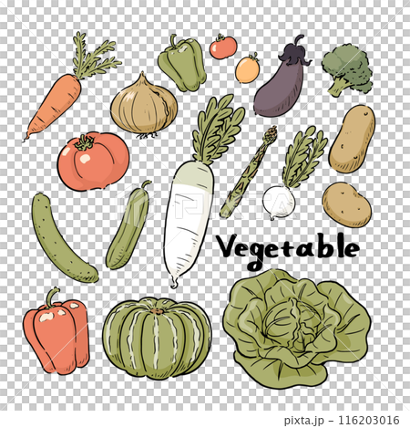 手描きの野菜セット 116203016