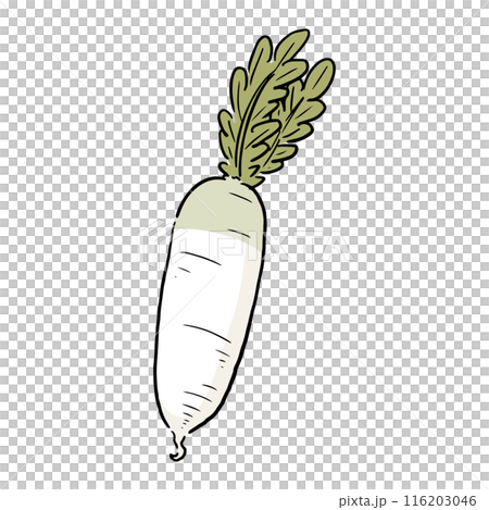 手繪蘿蔔 116203046