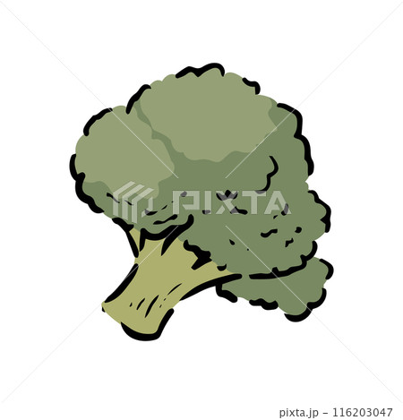 手描きのブロッコリー 116203047