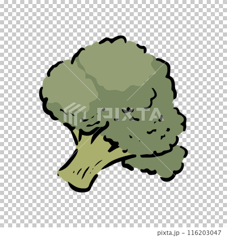 手描きのブロッコリー 116203047