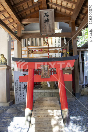洲崎神社 石神 116203070