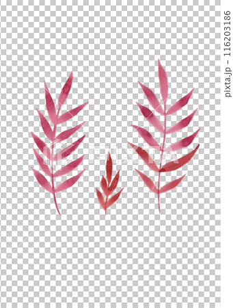 Red rowan branches. Natural beauty. Clipart of simple autumn twigs. Colorful texture. Rustic watercolor branches 116203186