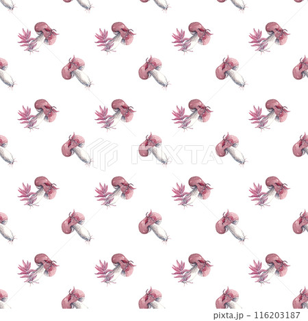 The gifts of the autumn forest: mushrooms. Vintage fall pattern, great design for any purpose. Watercolor illustration. Botanical background 116203187